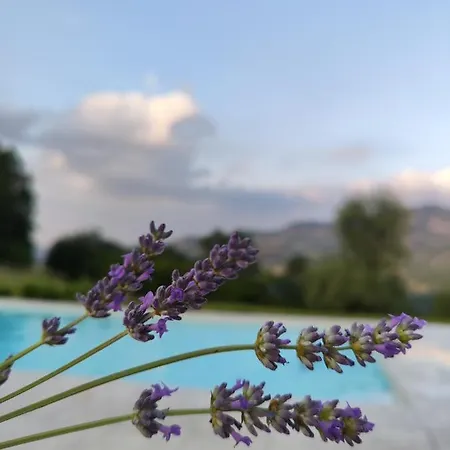 مزرعة للإقامة Il Torrione Del Trebbia *