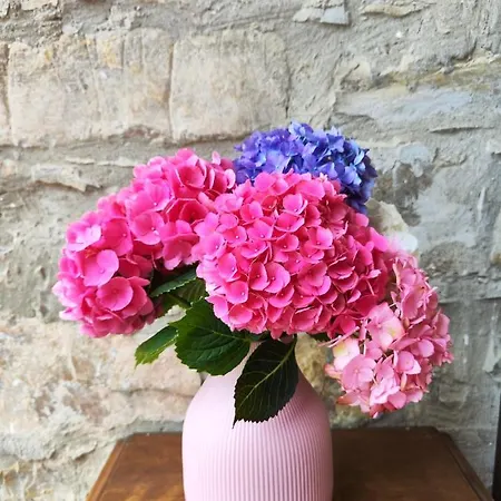 Il Torrione Del Trebbia مزرعة للإقامة *