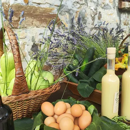 Il Torrione Del Trebbia