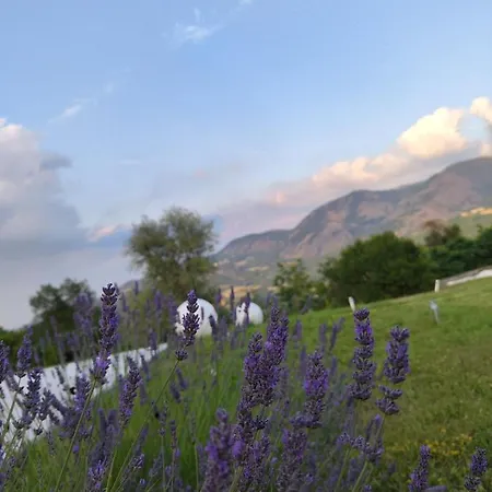 Il Torrione Del Trebbia Feriegård