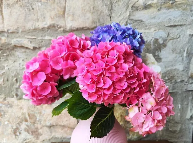 Il Torrione Del Trebbia 팜스테이 *