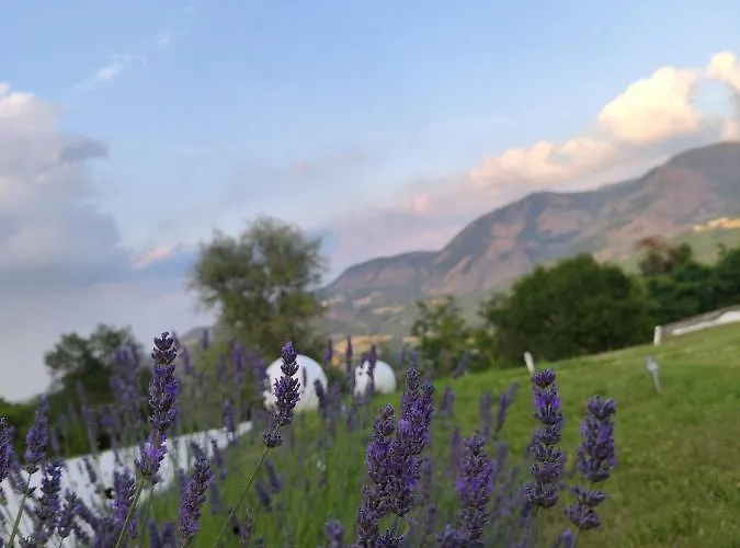 Il Torrione Del Trebbia 팜스테이