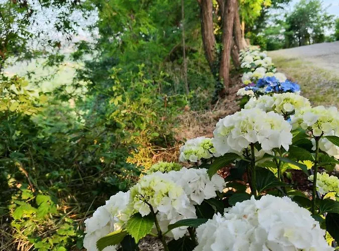 Il Torrione Del Trebbia